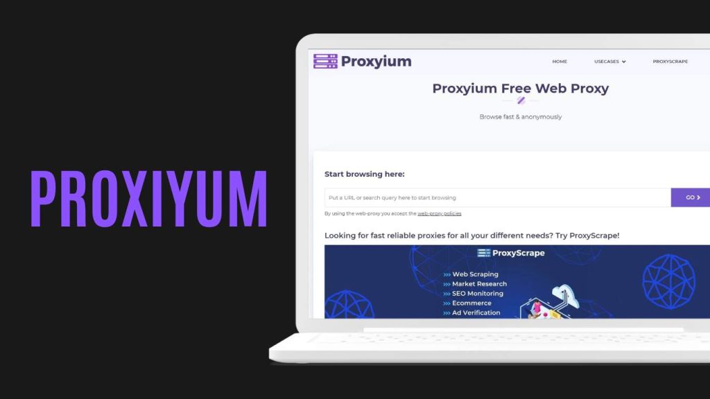 proxiyum.com