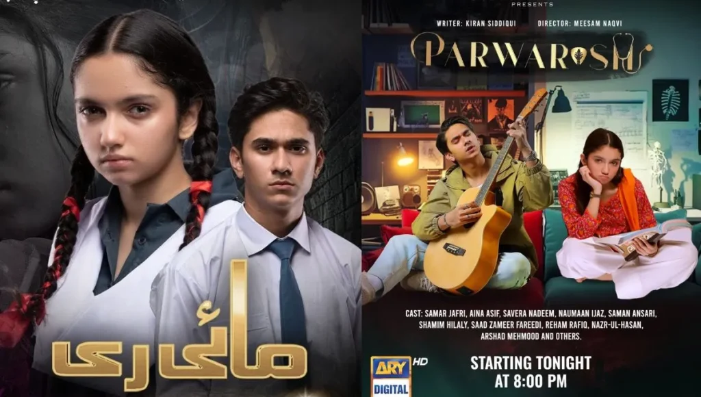 samar abbas Television Dramas